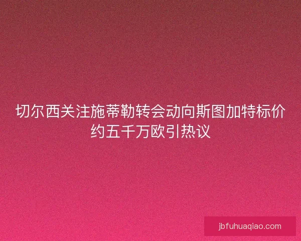 切尔西关注施蒂勒转会动向斯图加特标价约五千万欧引热议