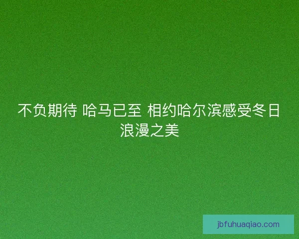 不负期待 哈马已至 相约哈尔滨感受冬日浪漫之美